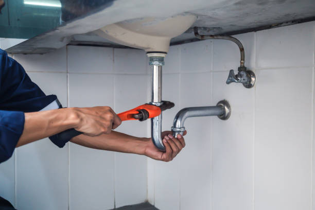 Best Local Plumber Services  in Bowman, ND