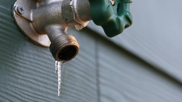 Best Water Leak Repair  in Bowman, ND